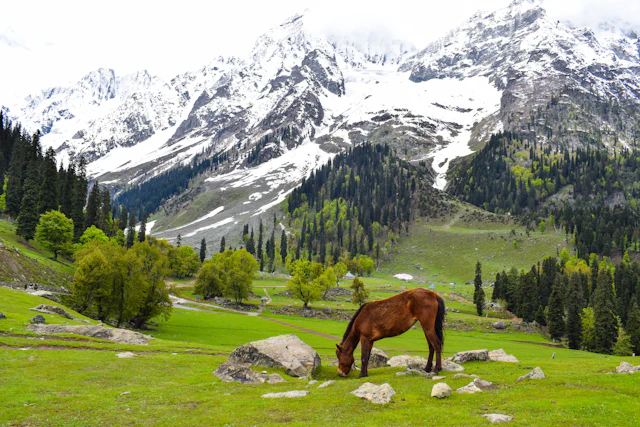 Snow-covered valley in Kashmir