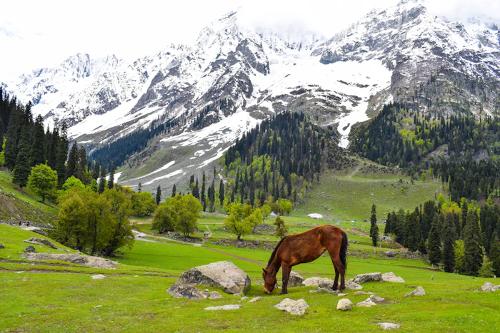 Kashmir holiday package