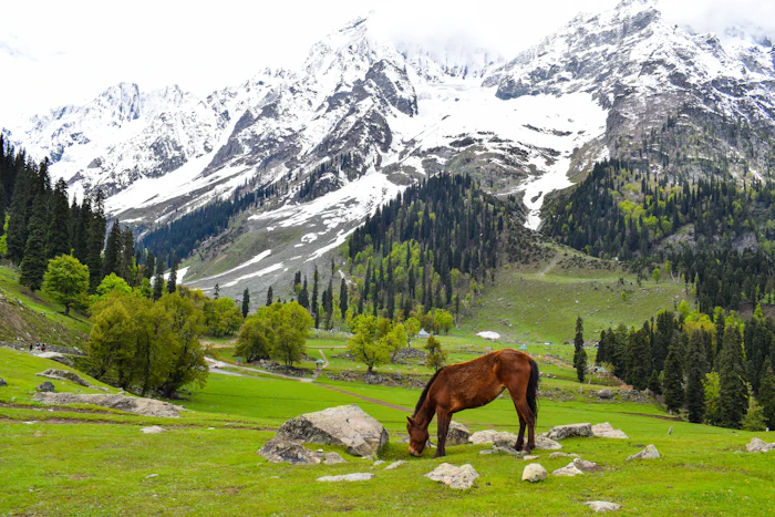 Kashmir valley