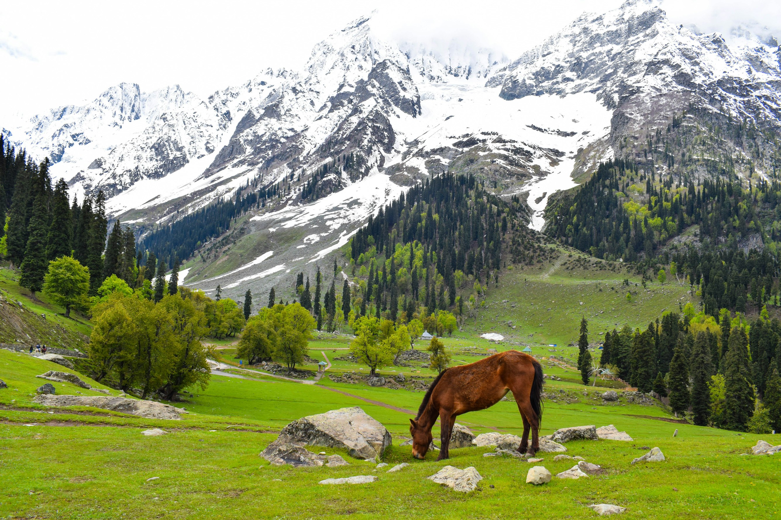 Gurez Valley Landscape - Kashmir Off Beat Tours