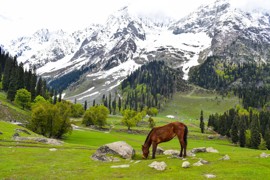 A Tripzos travel moment 3