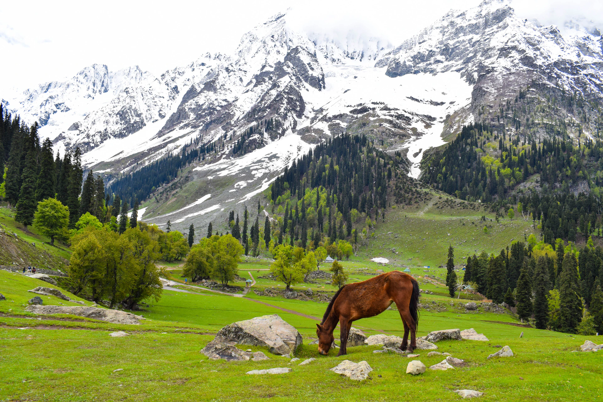 Srinagar