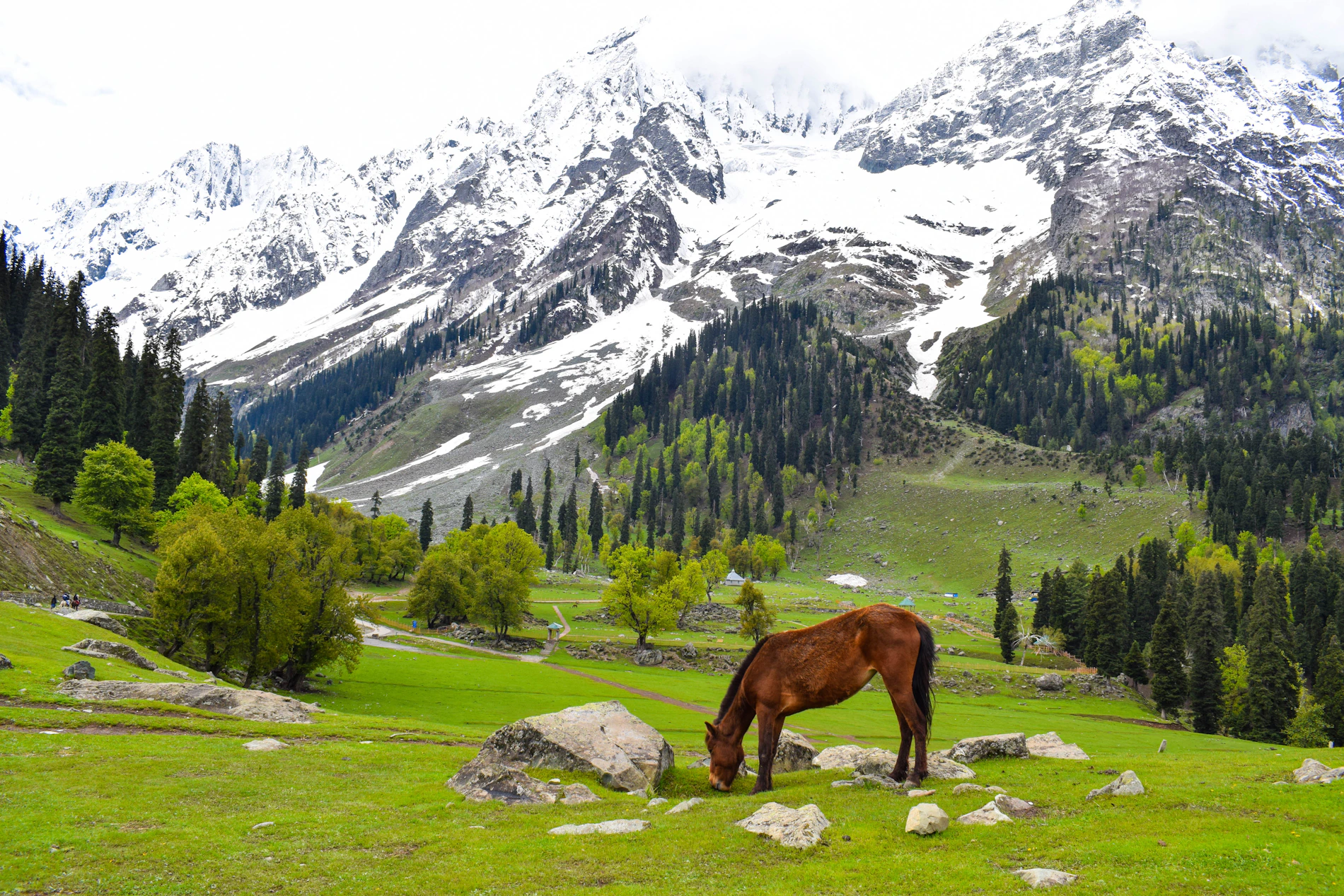 Gulmarg Tour Packages