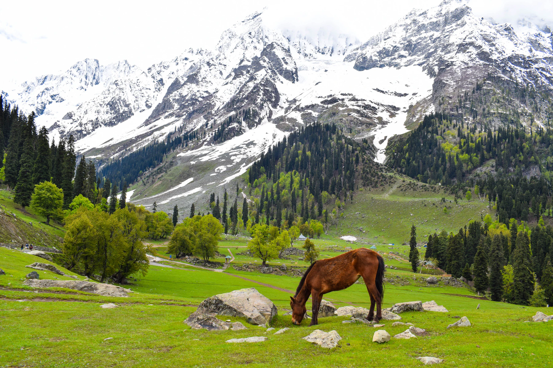 Srinagar