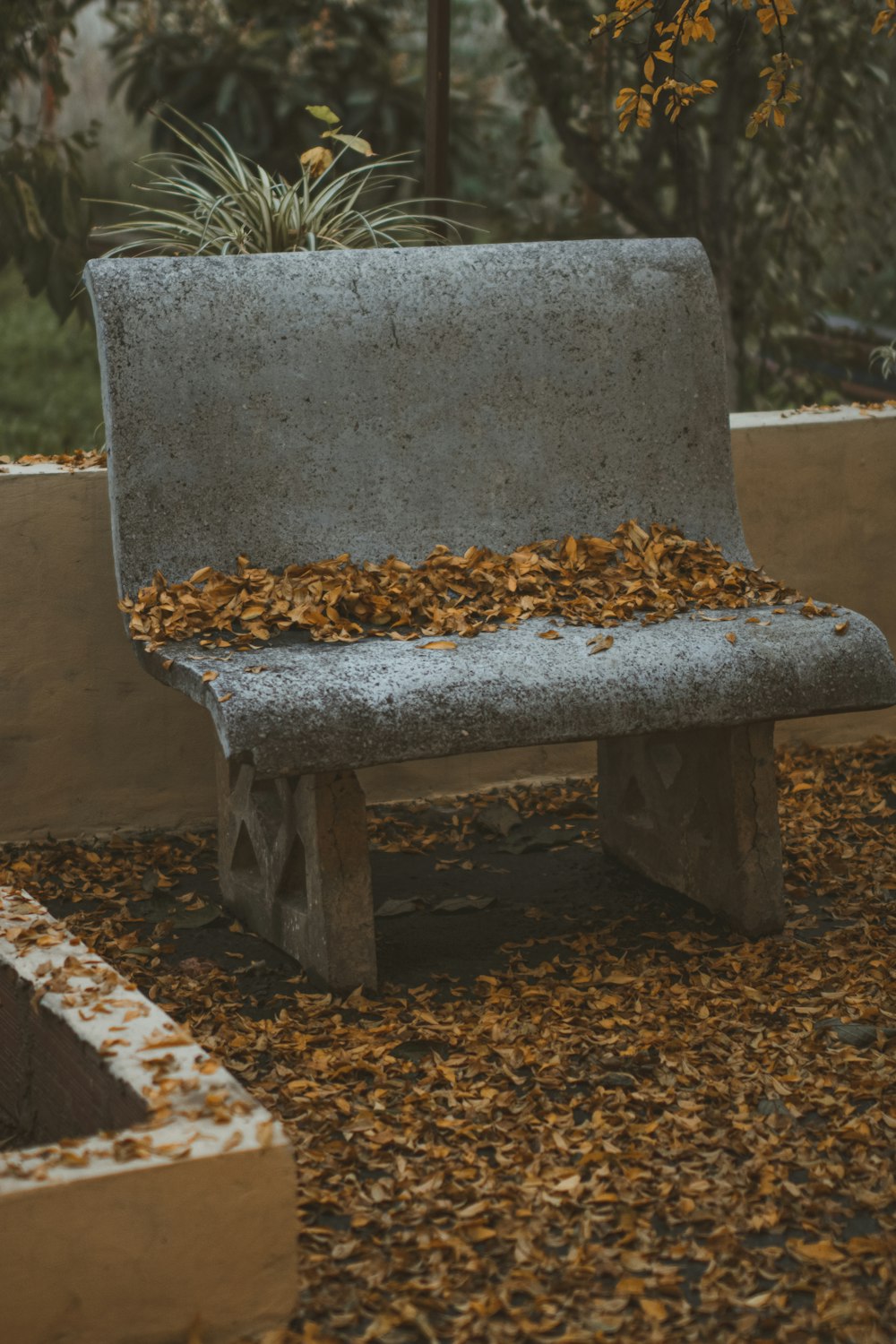 gray concrete bench with brown dried leaves on top