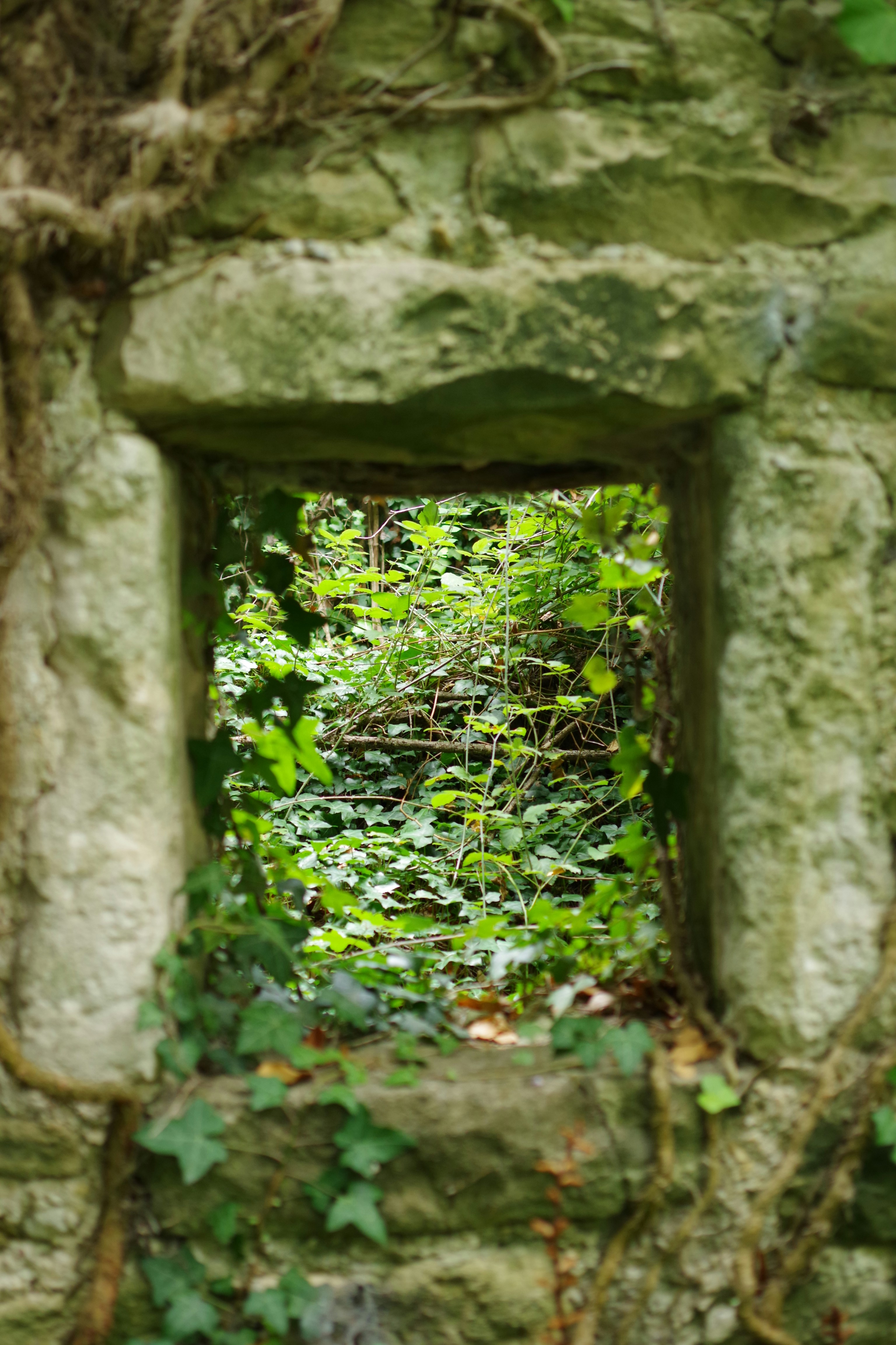 Photo by icimarseille