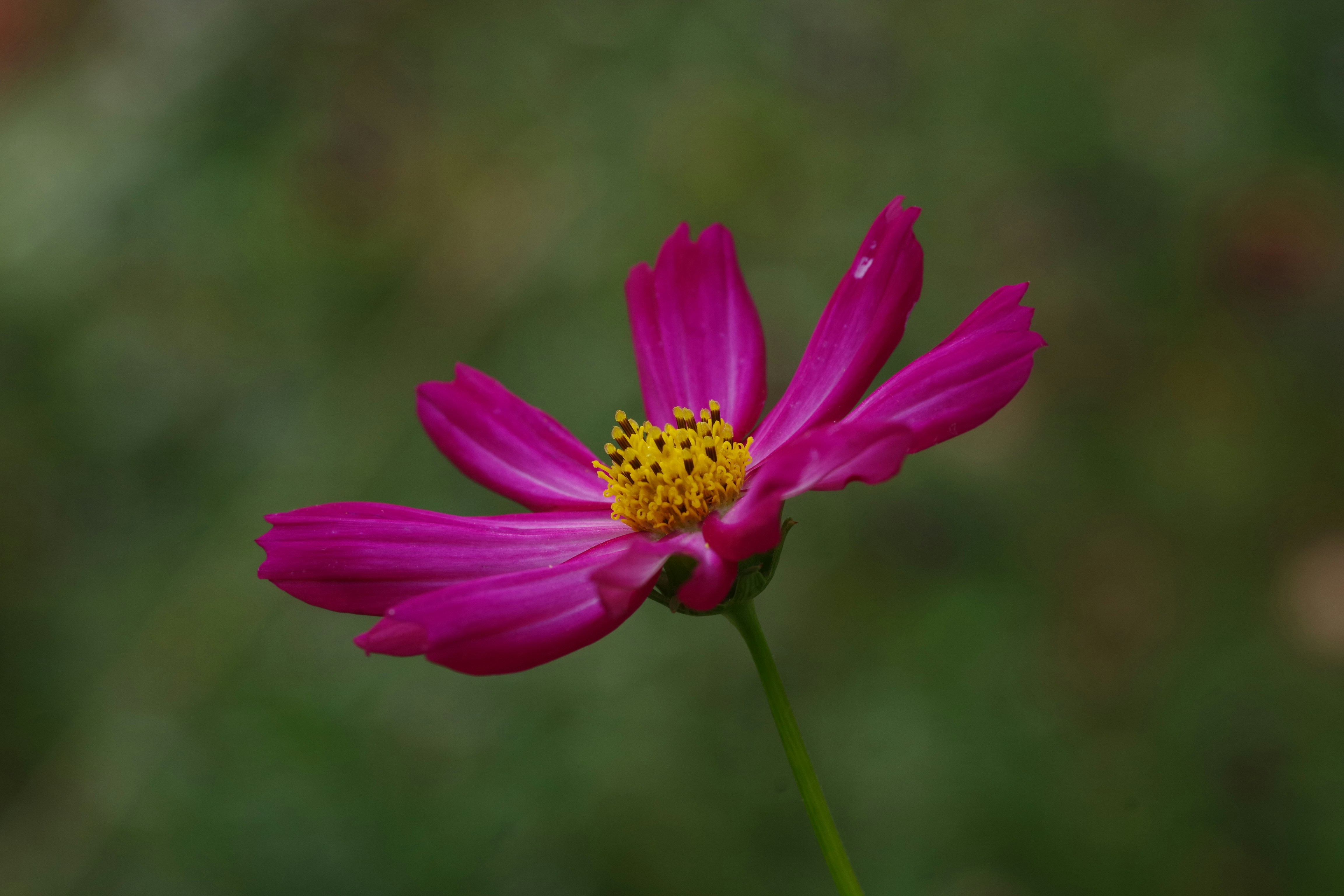 Photo by icimarseille