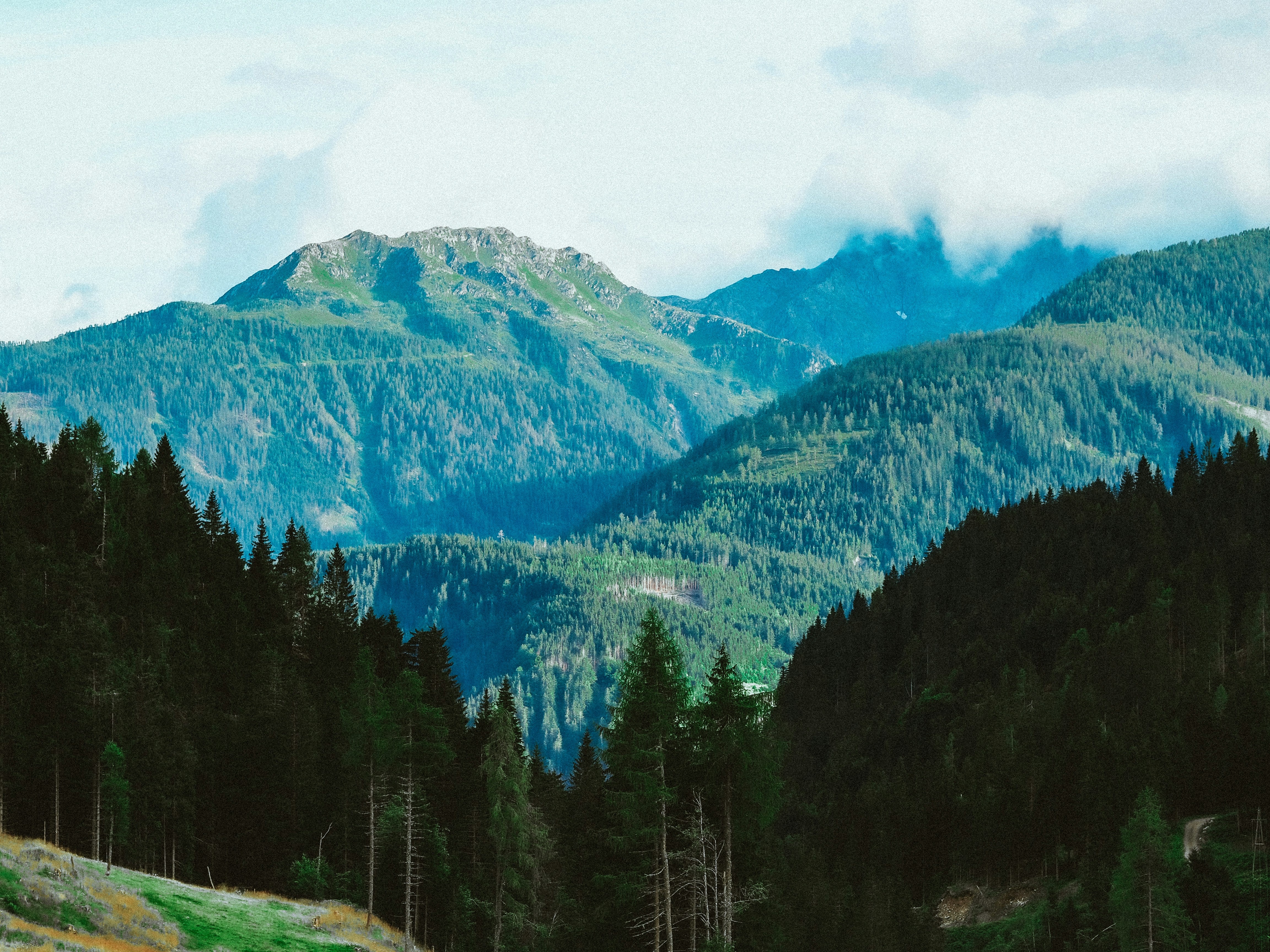 Photo by laurachouette