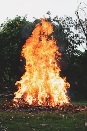 A large bonfire is burning vigorously with bright orange and yellow flames reaching upwards. The fire is set on a patch of green grass surrounded by trees and shrubs. Twigs and branches at the base of the fire feed the intense blaze, creating a dynamic and lively scene.