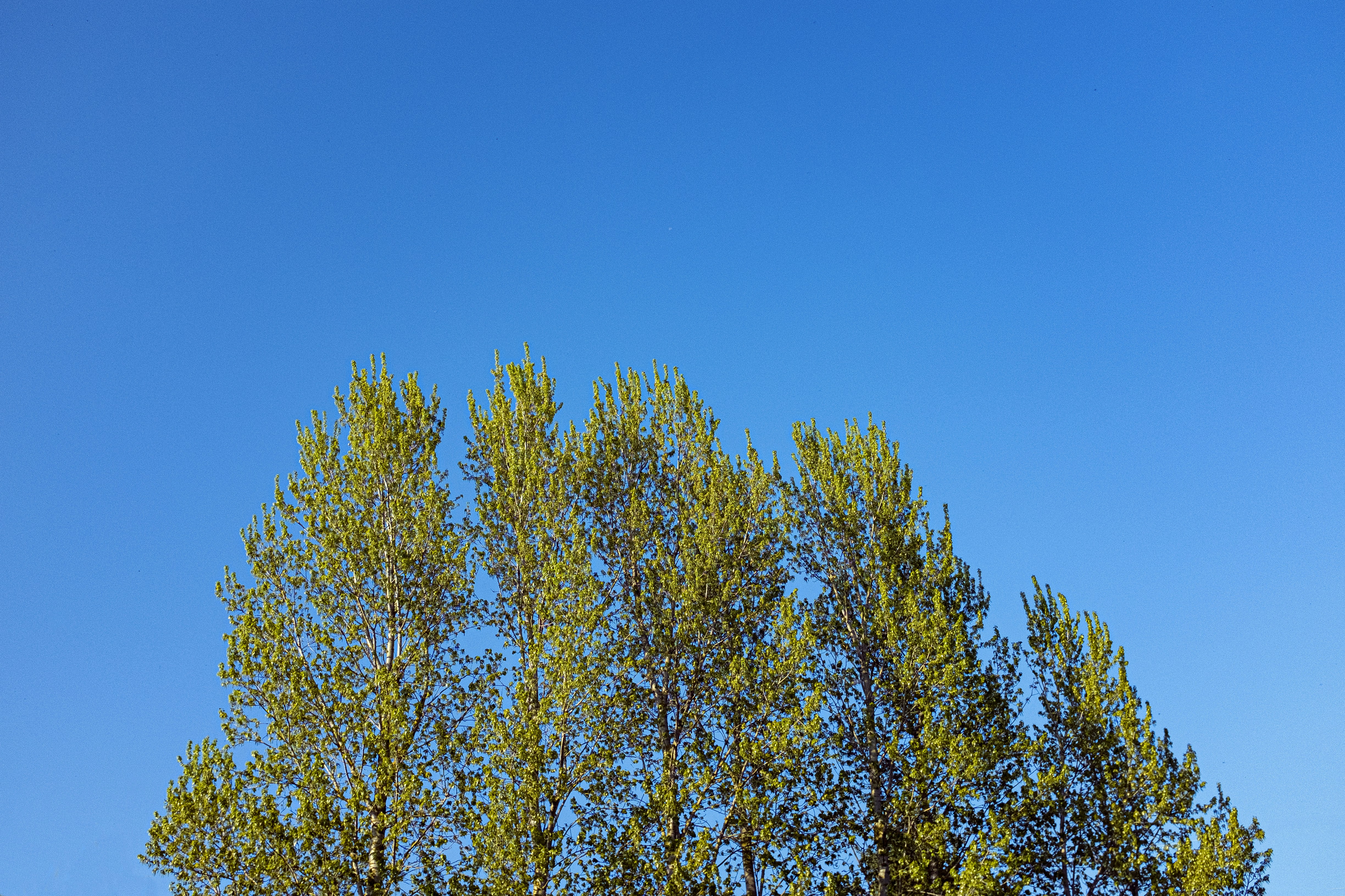 Photo by nilsschirmer