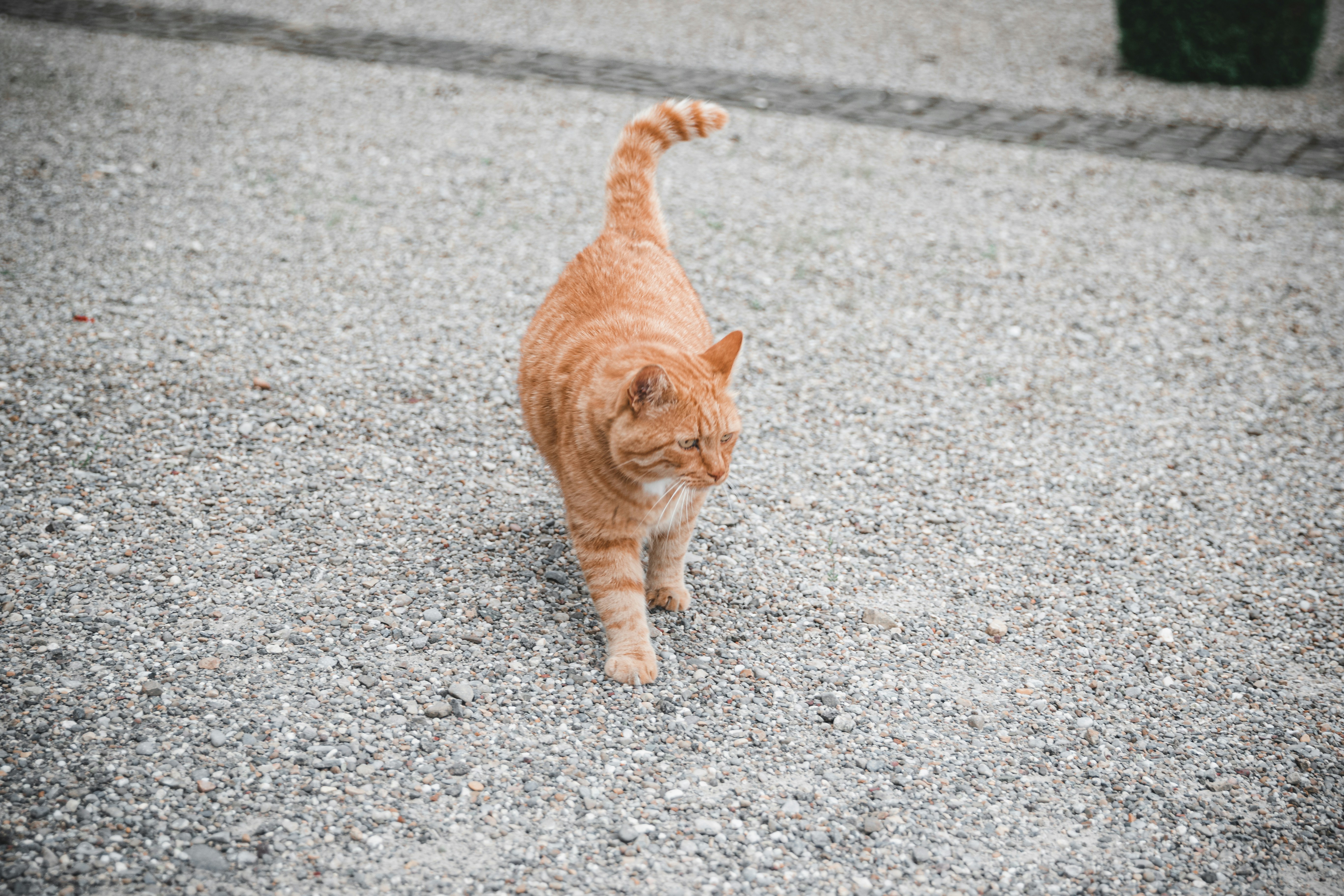 Photo by janoschphotos