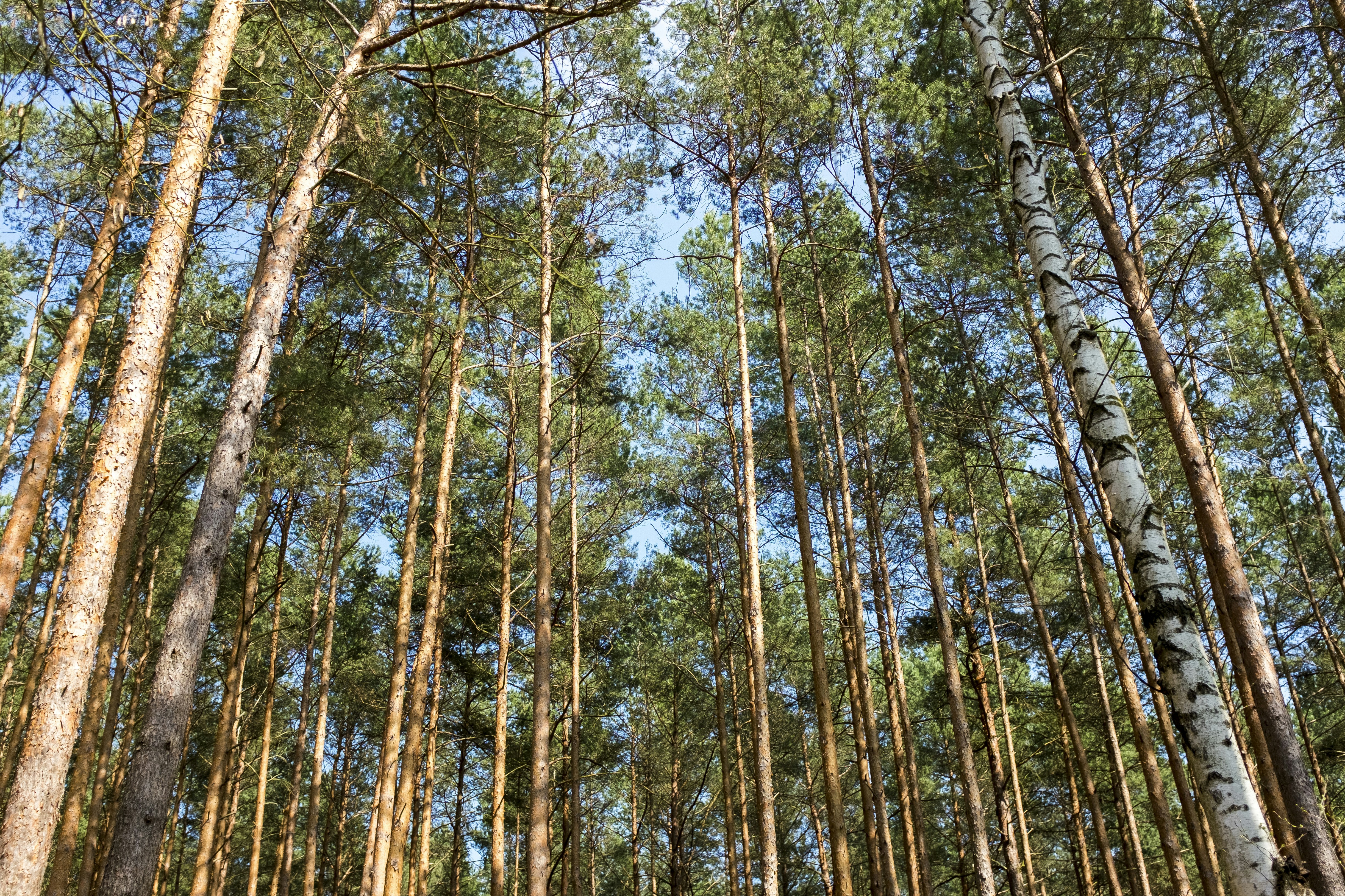 Photo by nilsschirmer