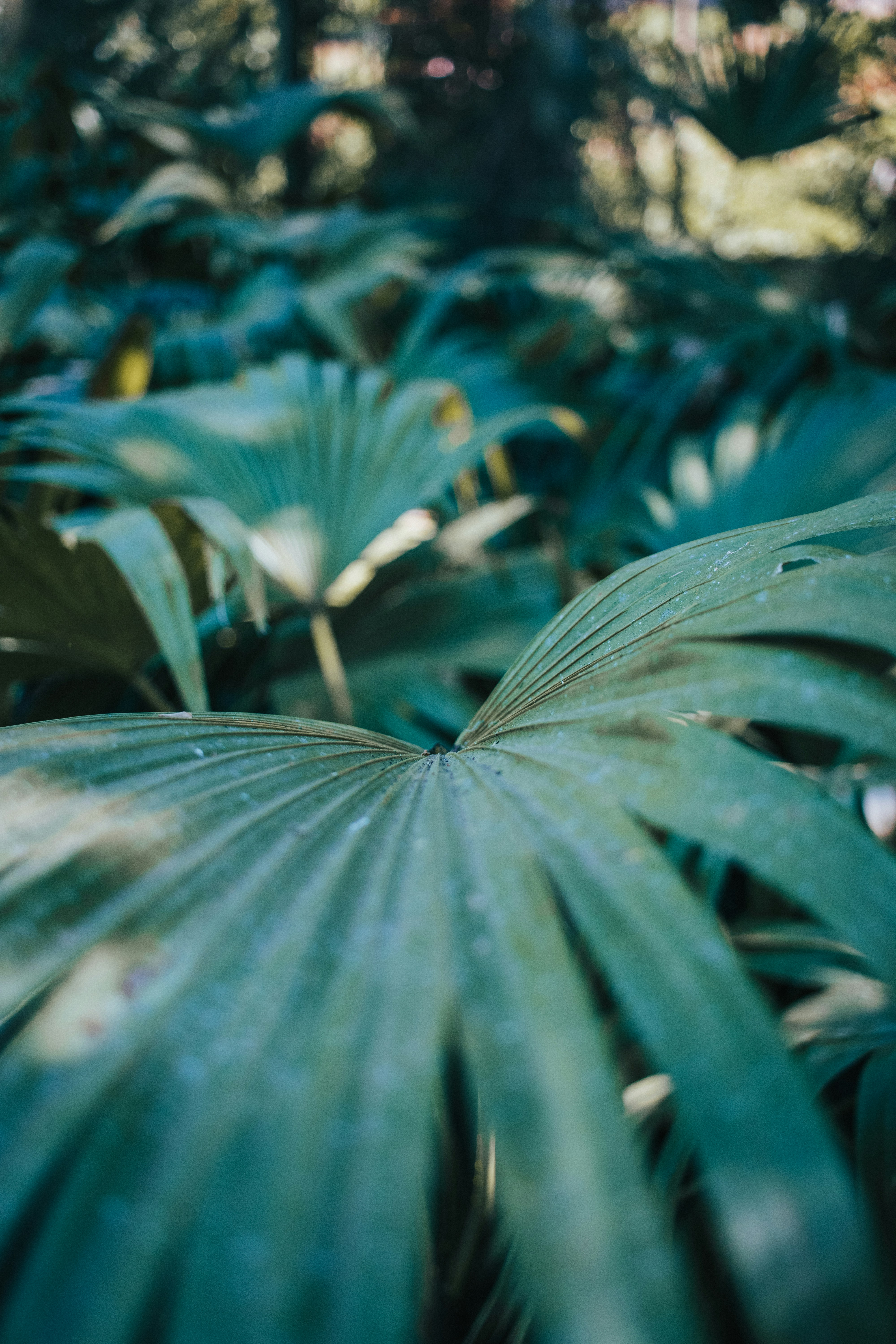 Photo by kaldenswart