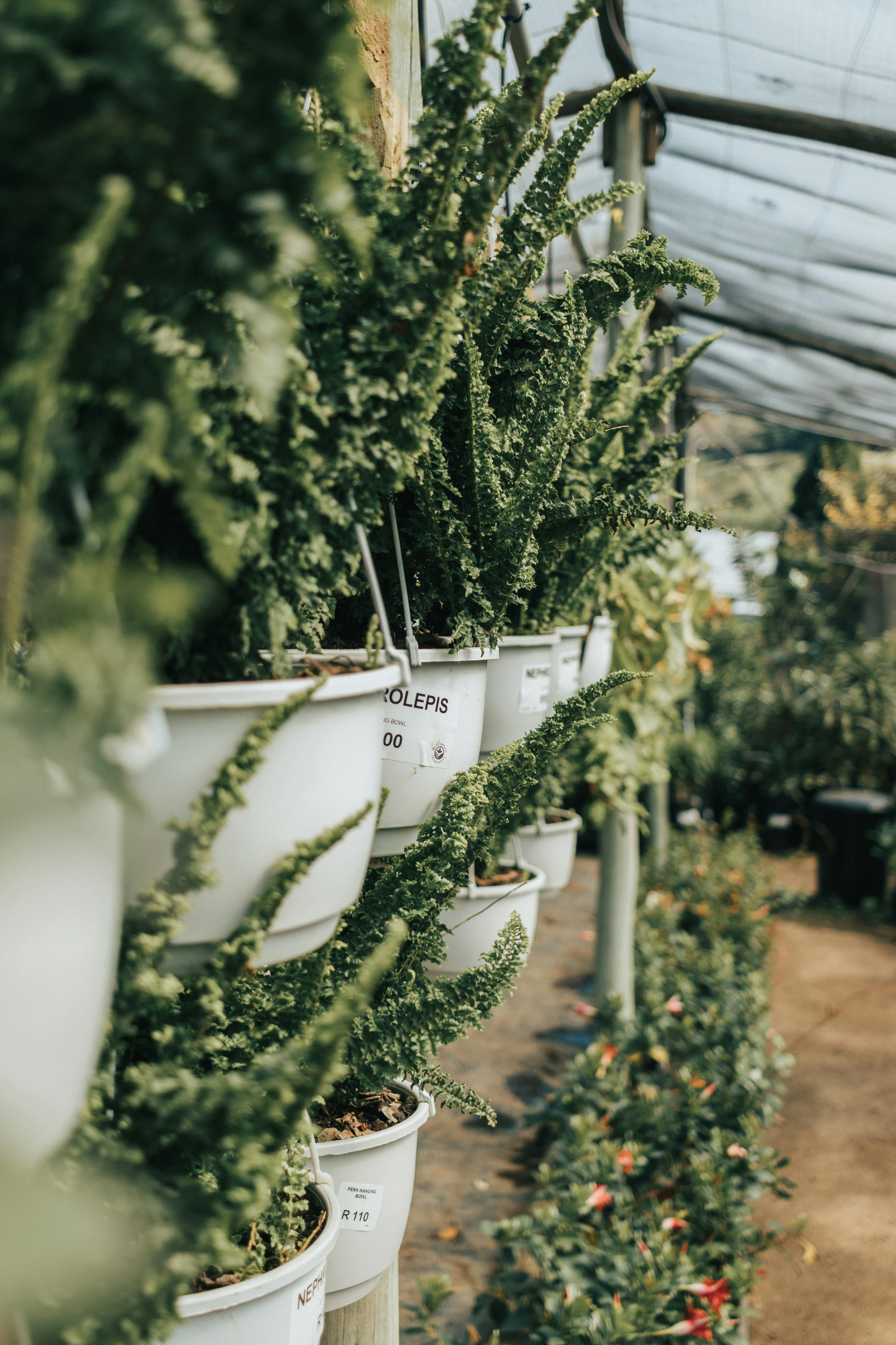 Photo by kaldenswart