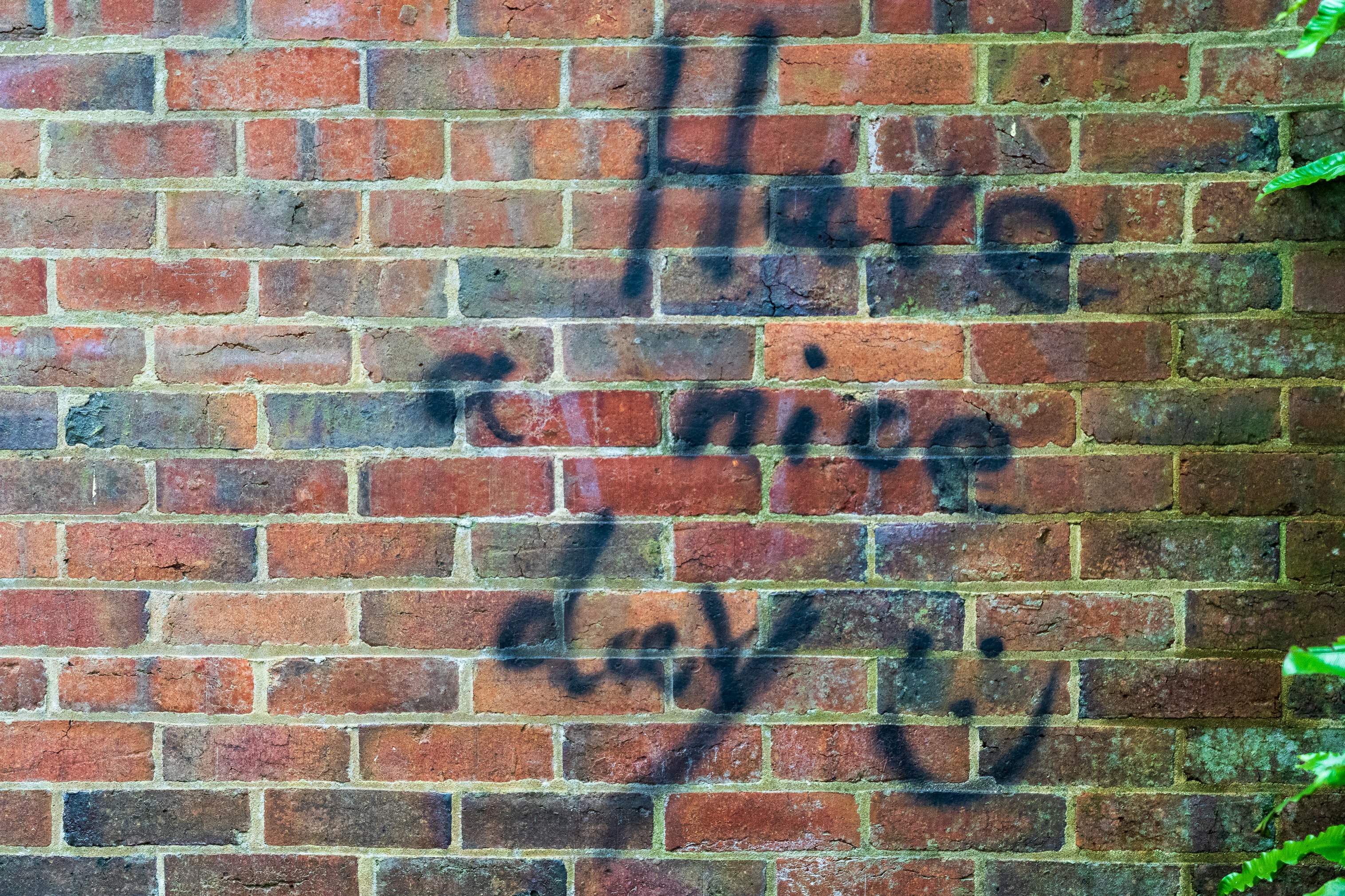 Have a nice day, spray painted on the red brick wall of an old mill building.