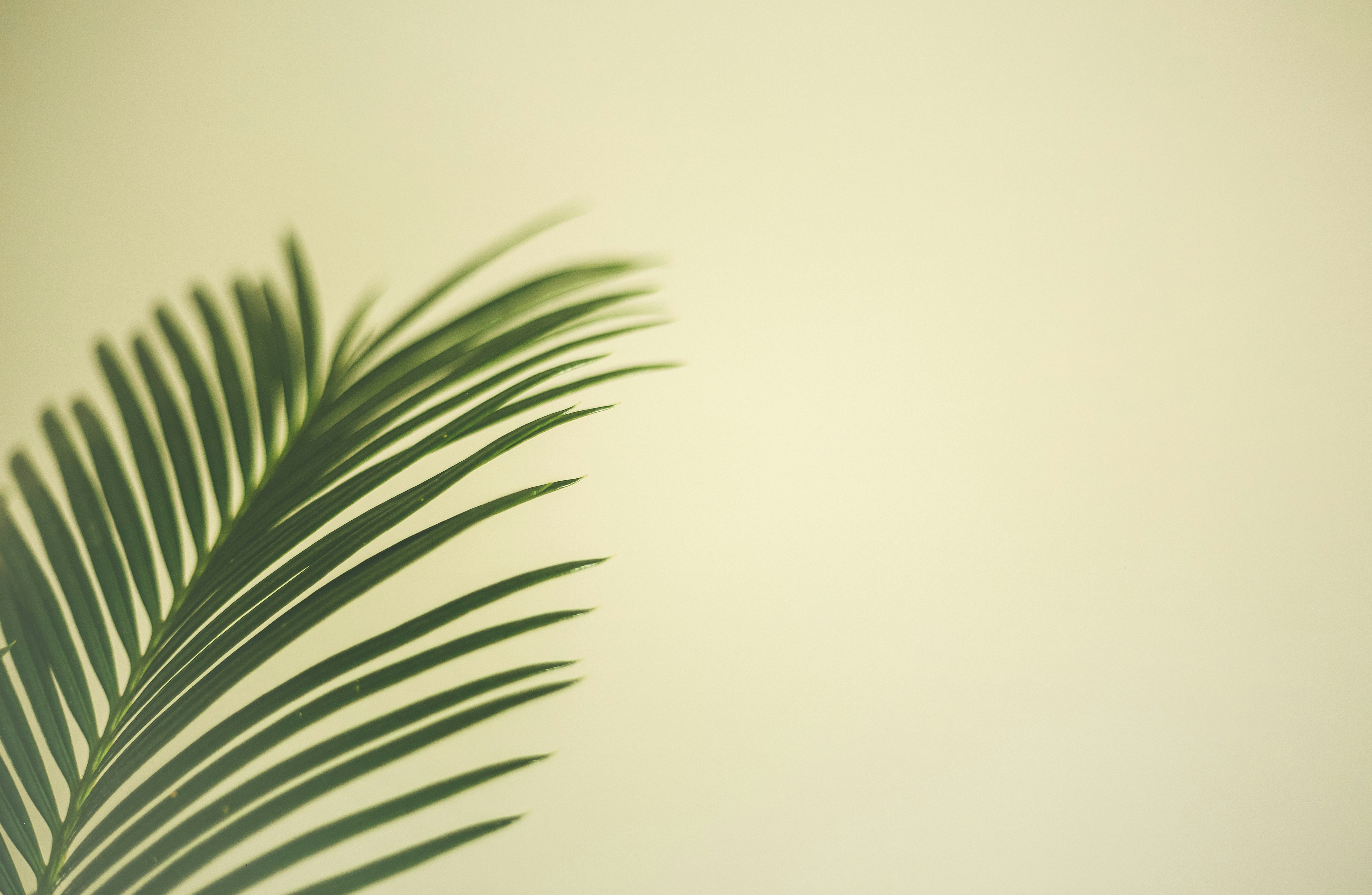 Photo by valentinbalan