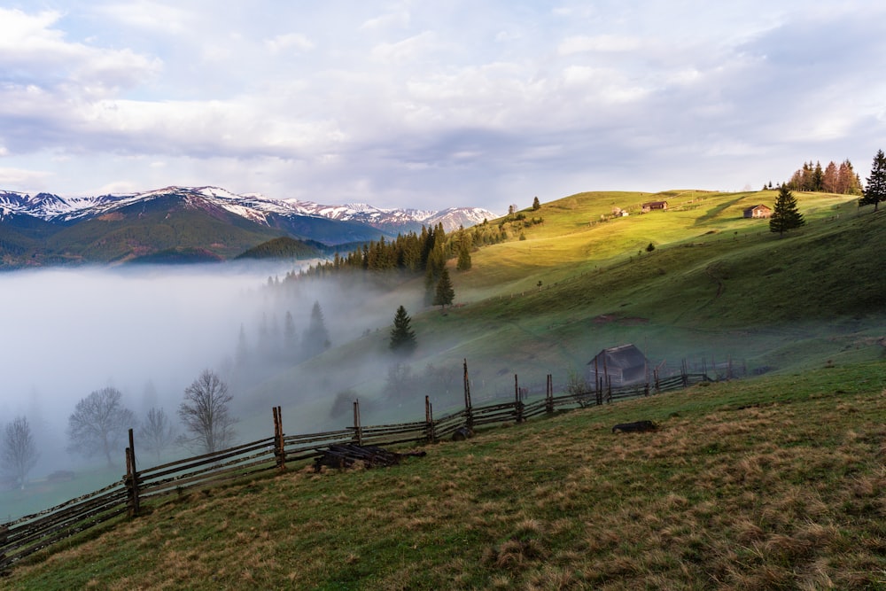 green grass field near lake under white clouds during daytime