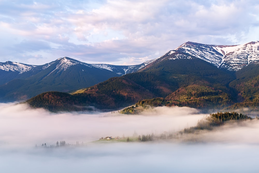 brown and green mountains near body of water during daytime