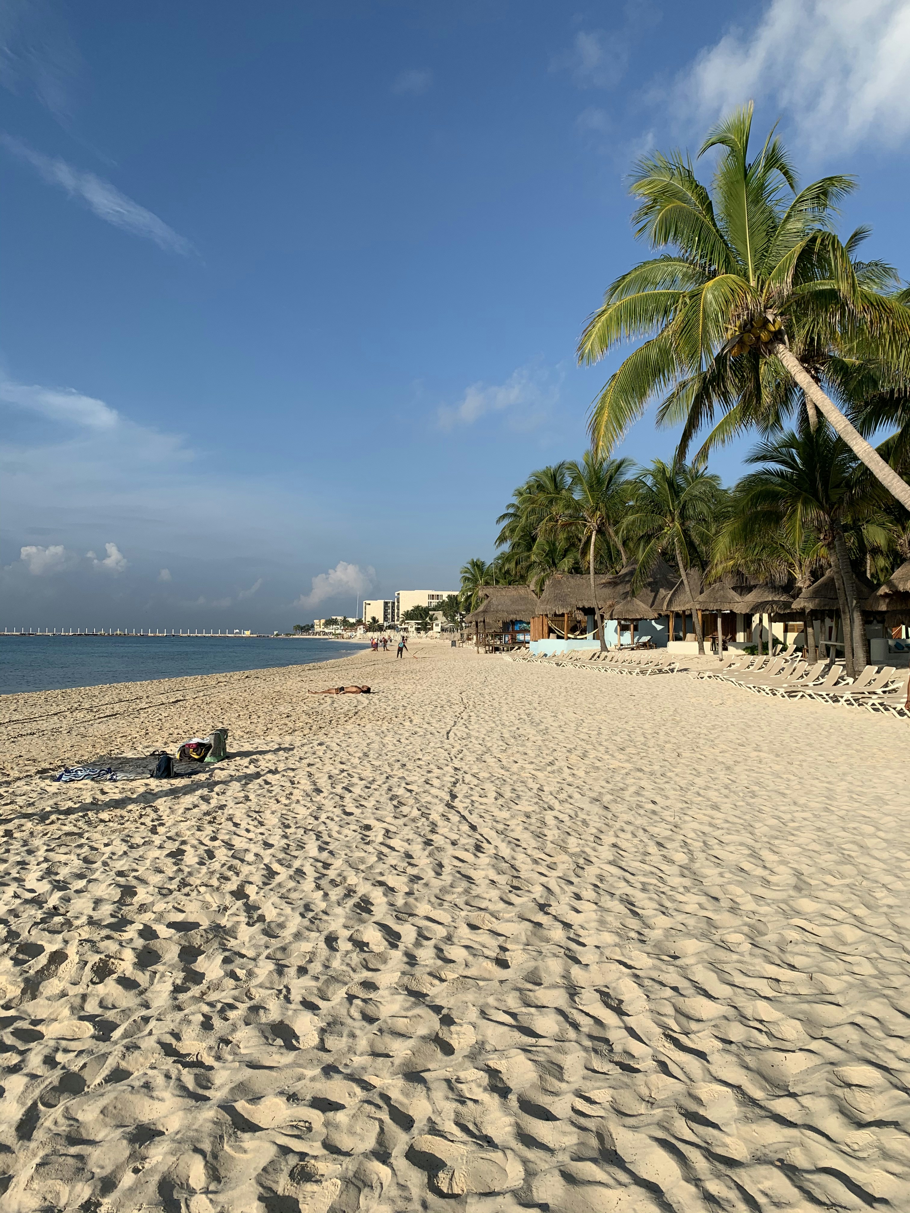 Photo by soothingtropicalwinds