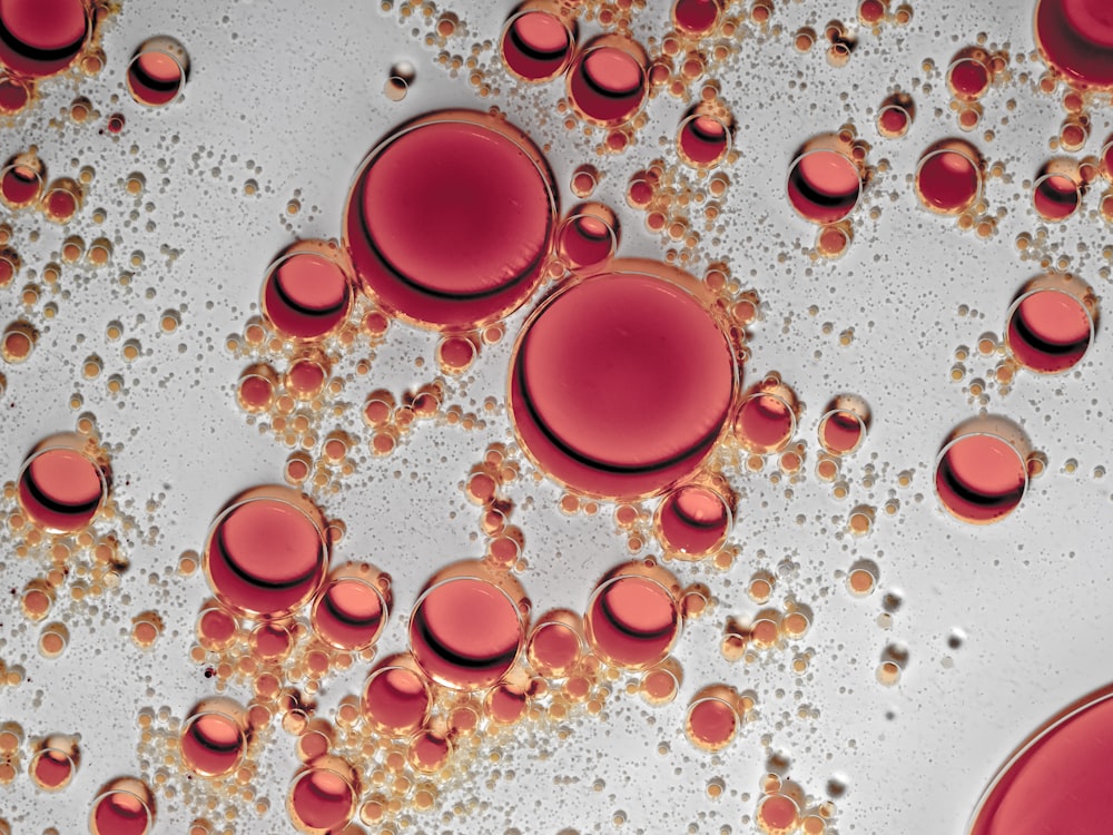 red round plastic cup on white table