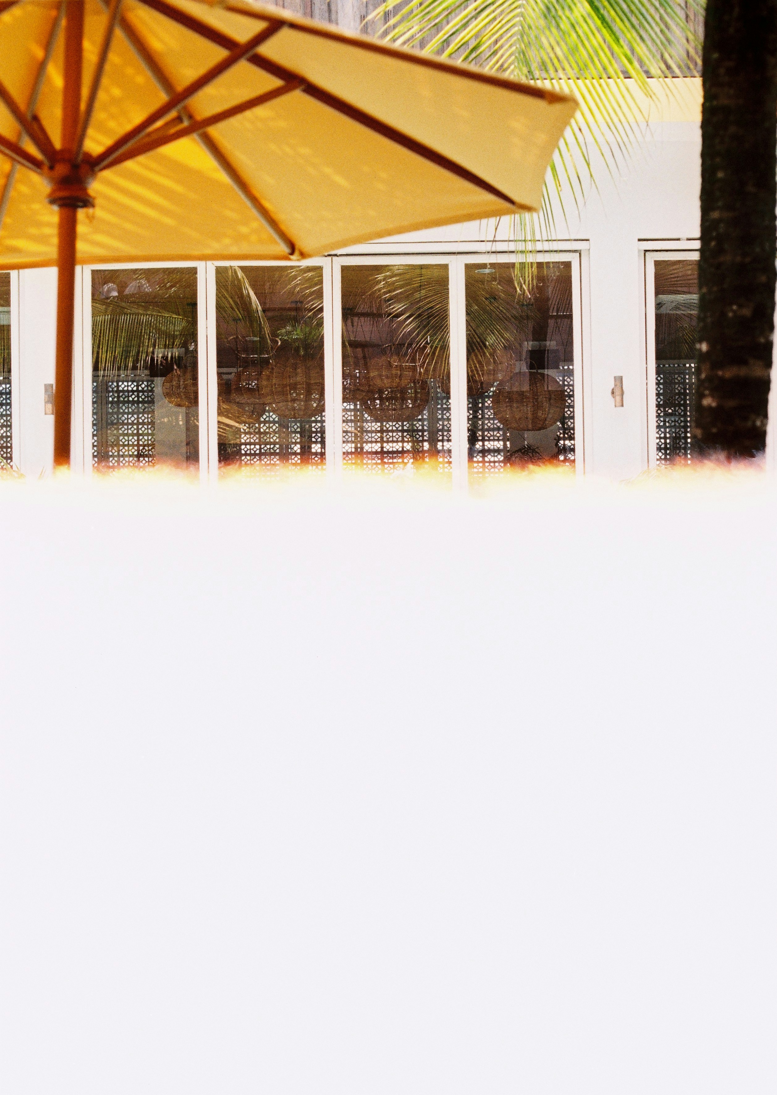 Photo by imanuelreza