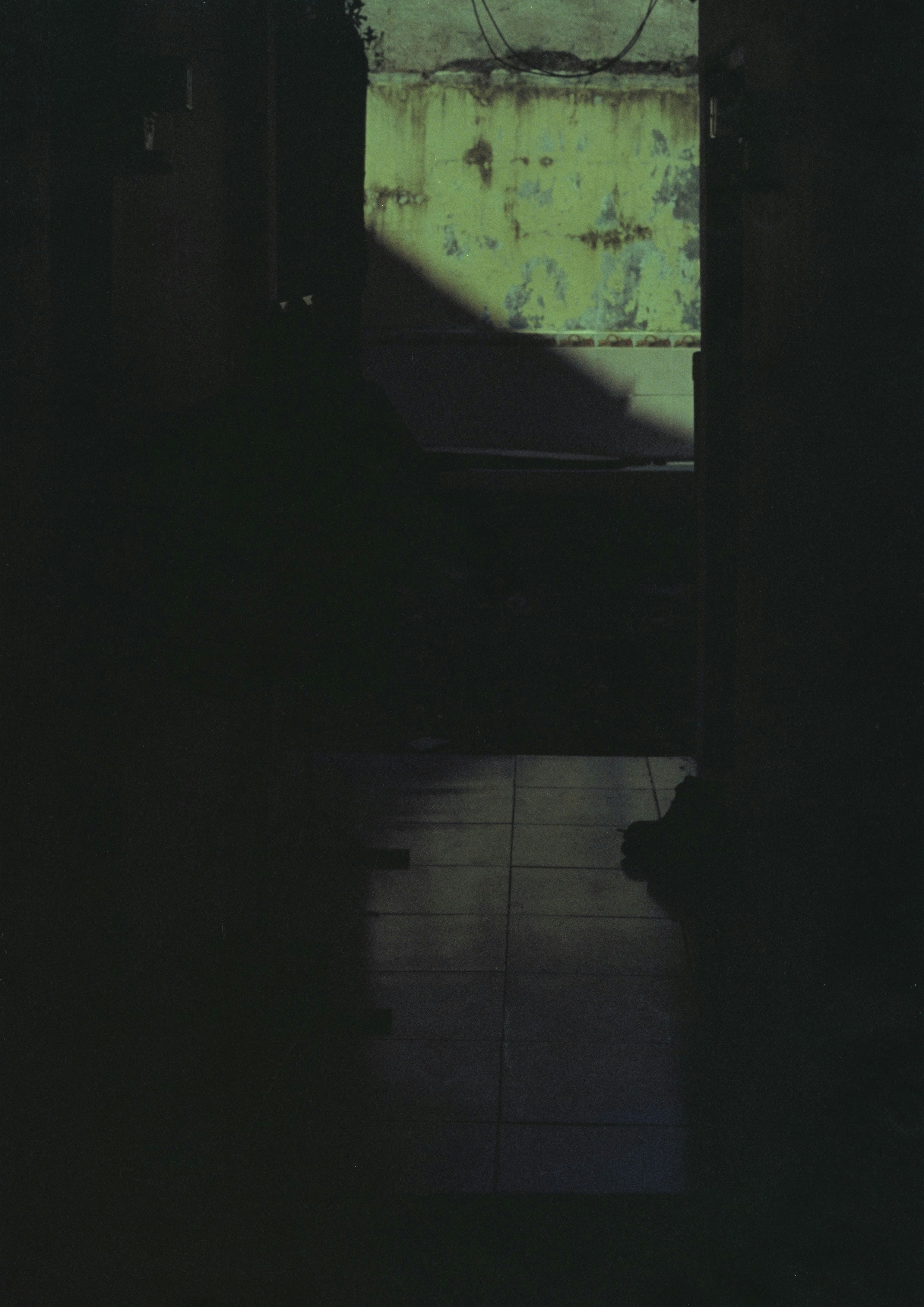 Photo by imanuelreza