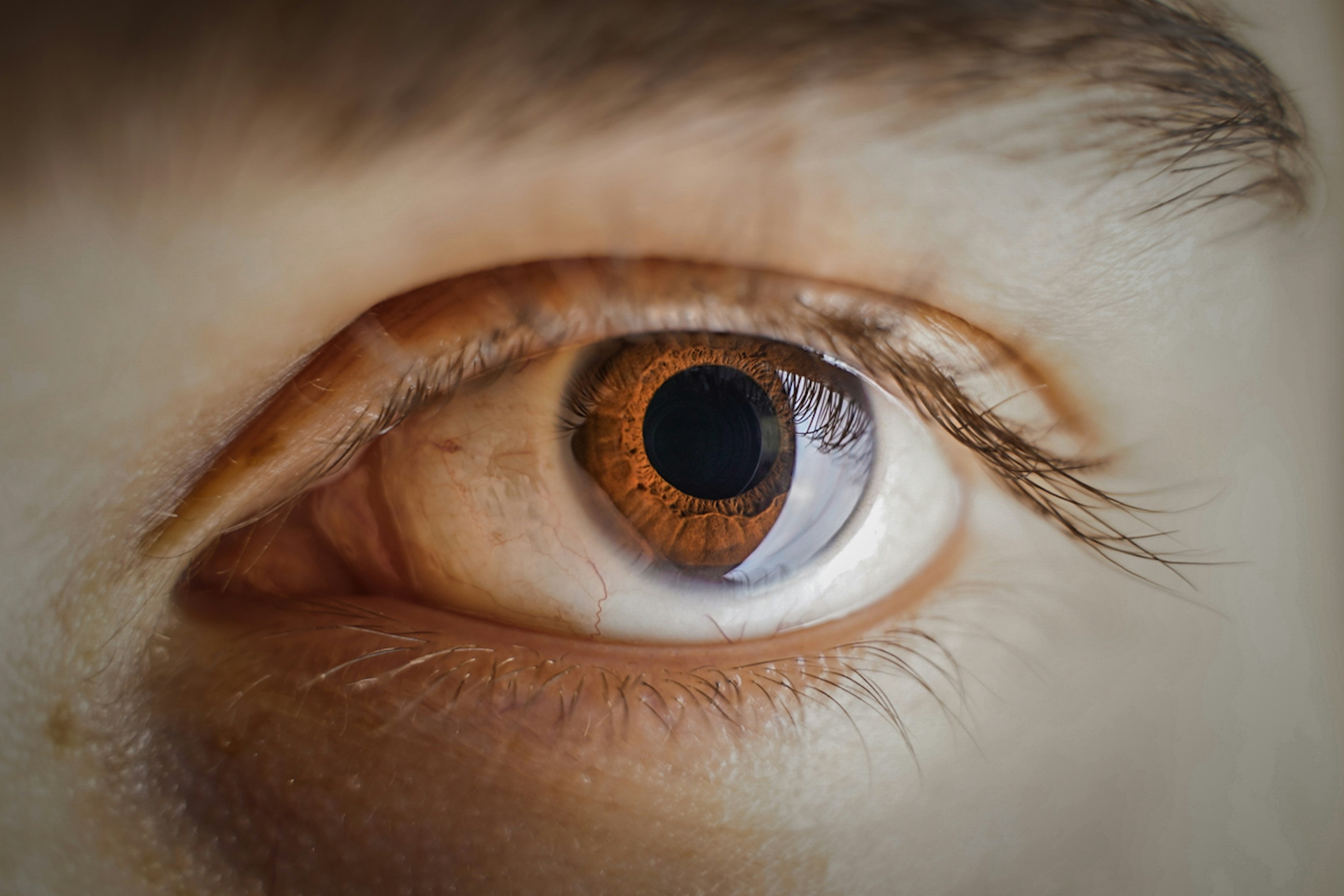 Photo by kiarash_mansouri