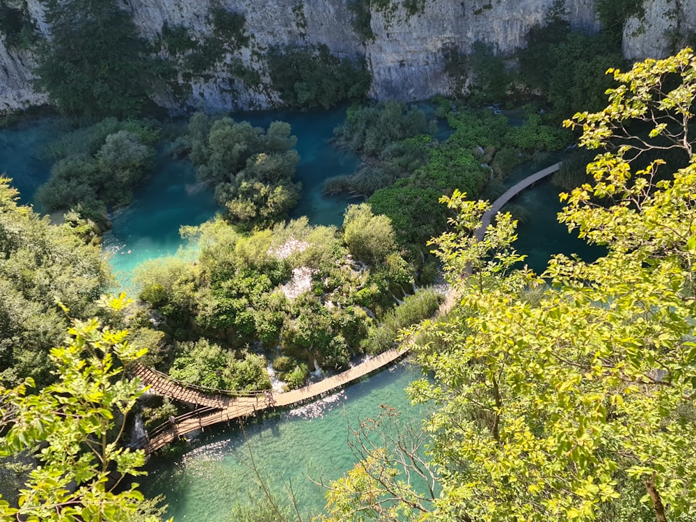 brown wooden bridge on river near green trees during daytime