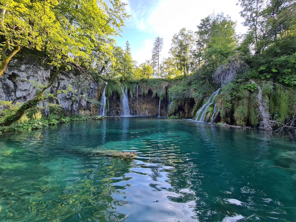 green body of water between green trees during daytime