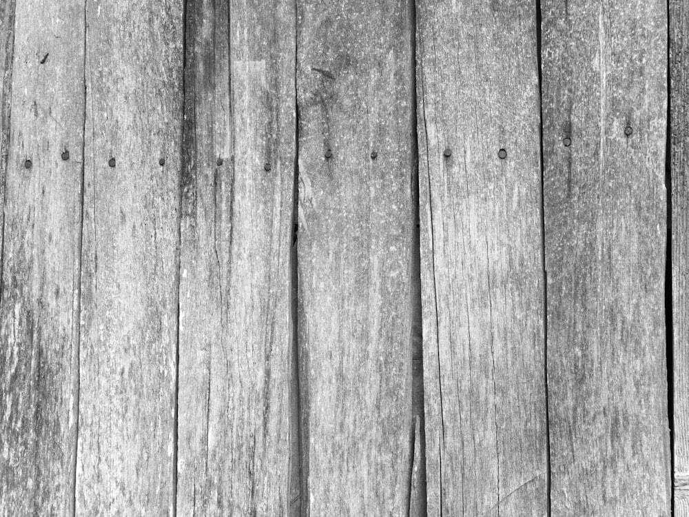 une photo en noir et blanc d’une clôture en bois