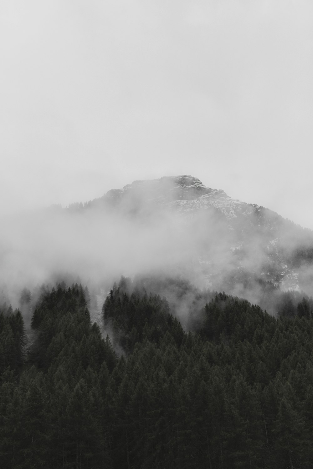 green trees on mountain under white clouds during daytime