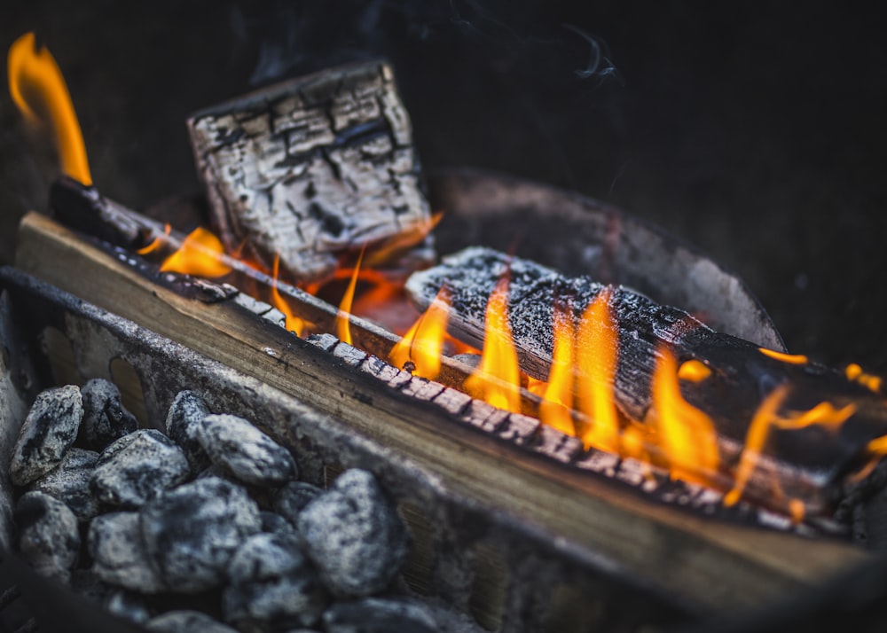 burning firewood on fire pit