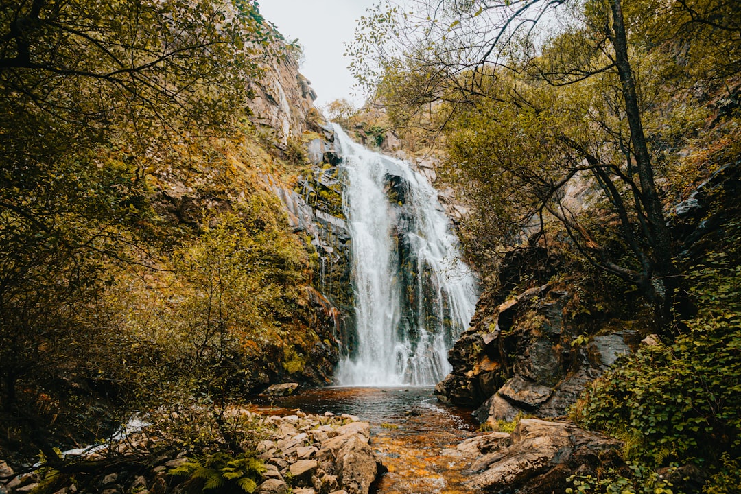 waterfalls in the middle of the forest