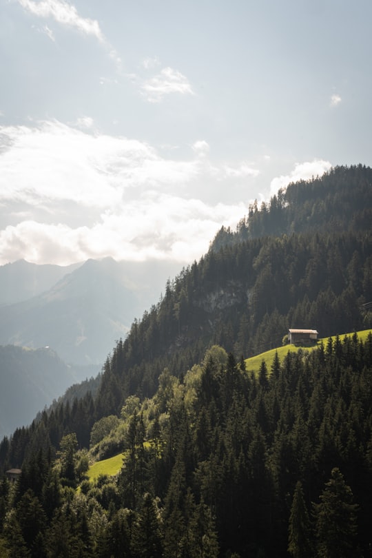 green trees on mountain under white clouds during daytime in Mayrhofen Austria