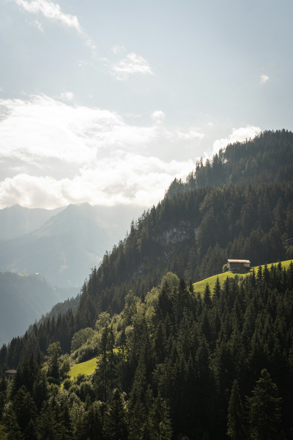 green trees on mountain under white clouds during daytime