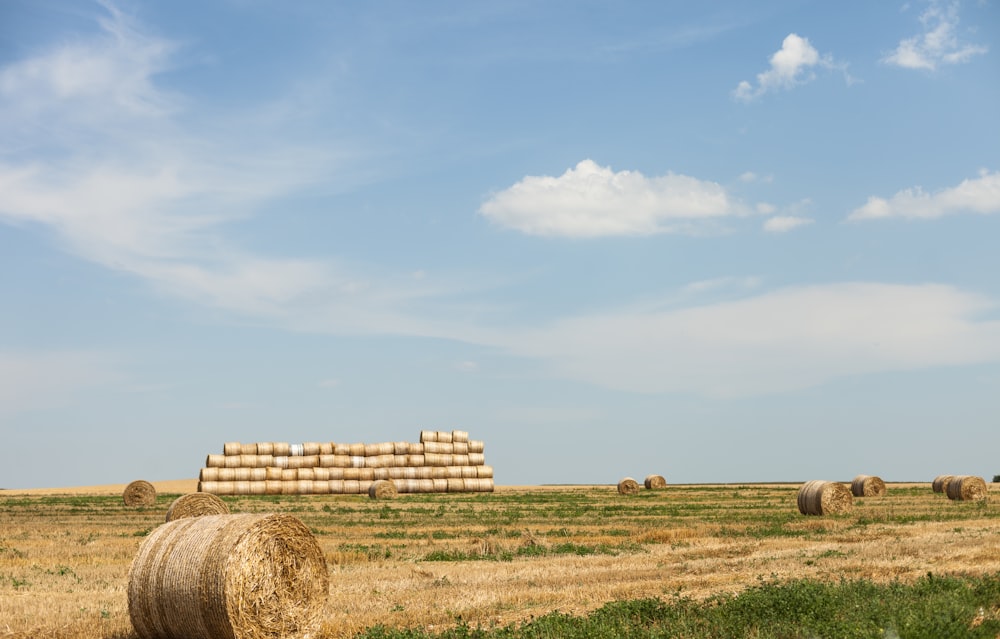 brown hays on brown field under blue sky during daytime