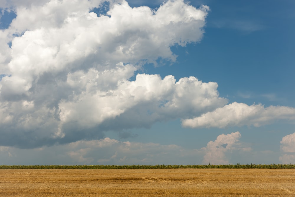 brown field under white clouds and blue sky during daytime