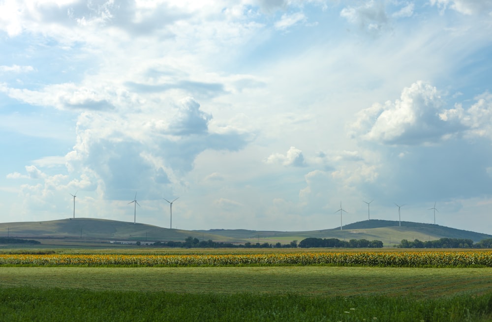 green grass field under white clouds during daytime