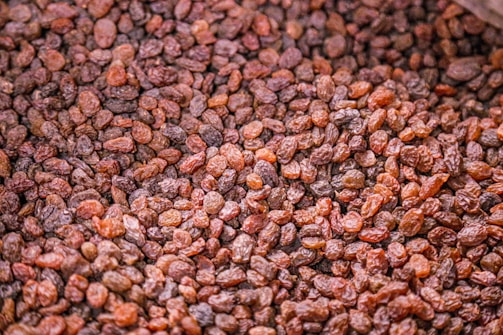 brown and black stones in close up photography