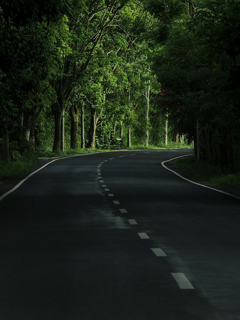 1000+ Road Wallpaper Pictures | Download Free Images on Unsplash