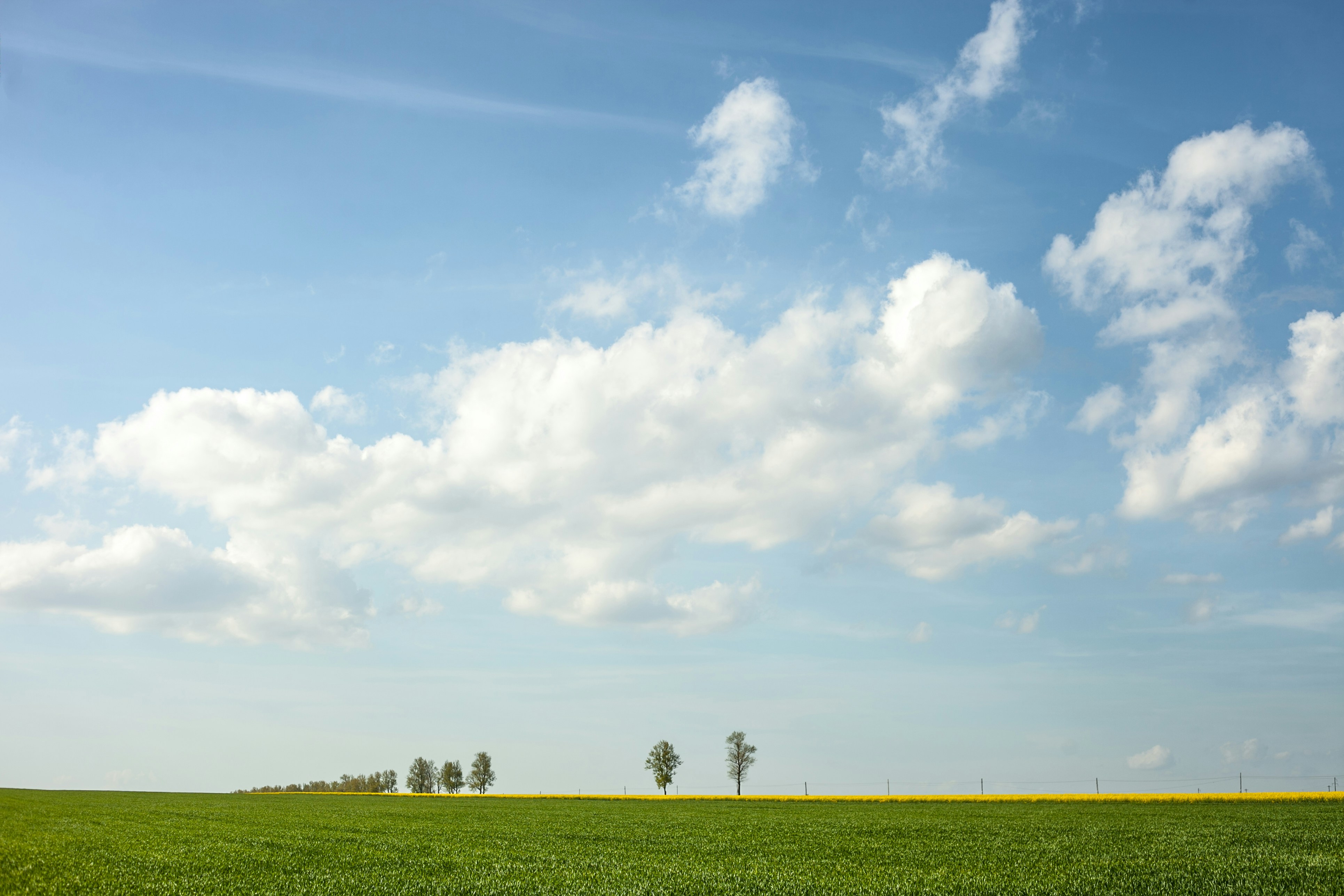 Green grass field under blue sky and white clouds during daytime photo ...