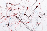 Abstract art composed of dynamic splatters and drips of red, black, and blue paint against a white background. The paint is applied in an energetic, chaotic manner with intersecting lines and scattered dots.
