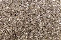 brown dried leaves on ground