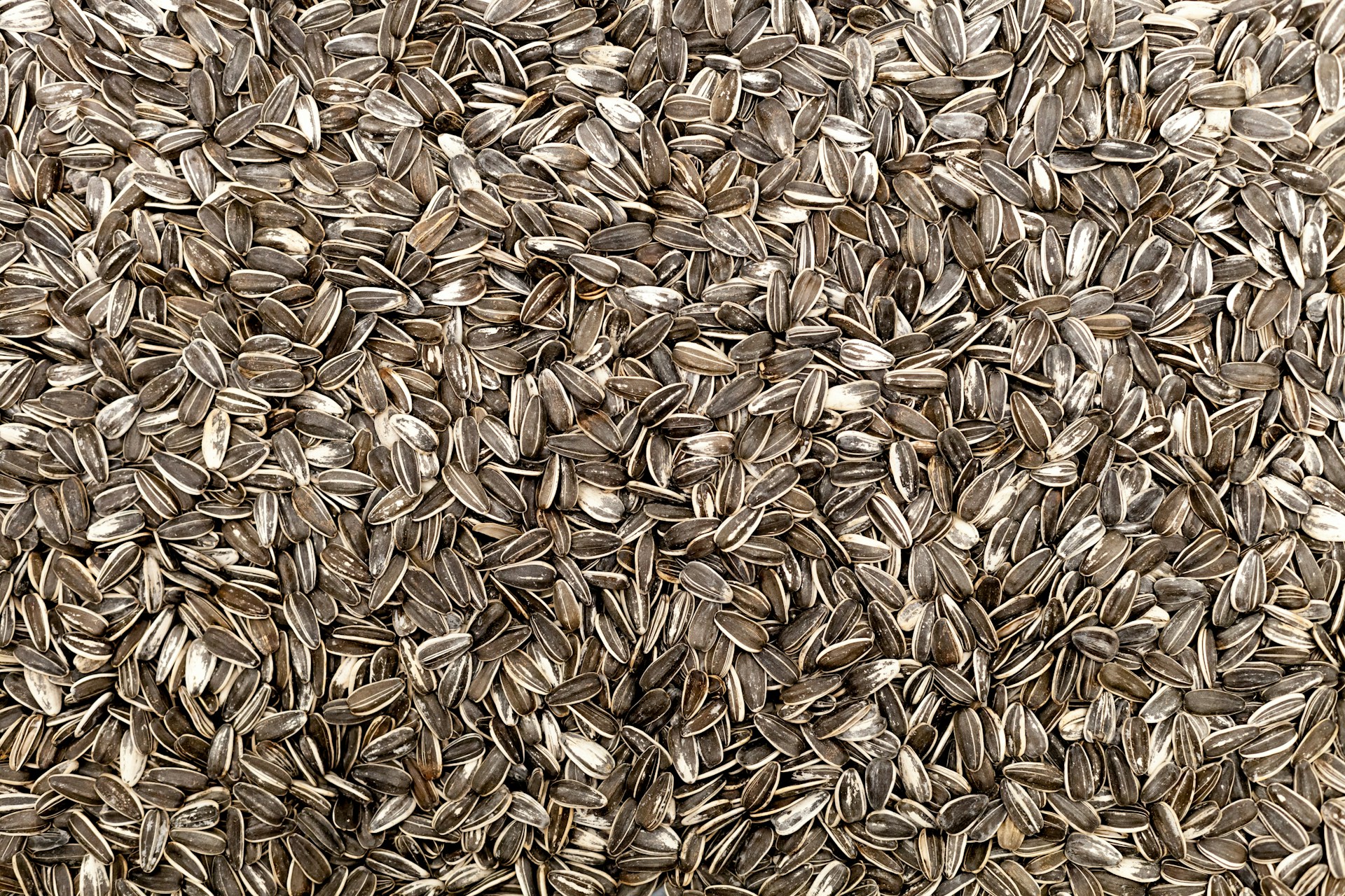 brown dried leaves on ground