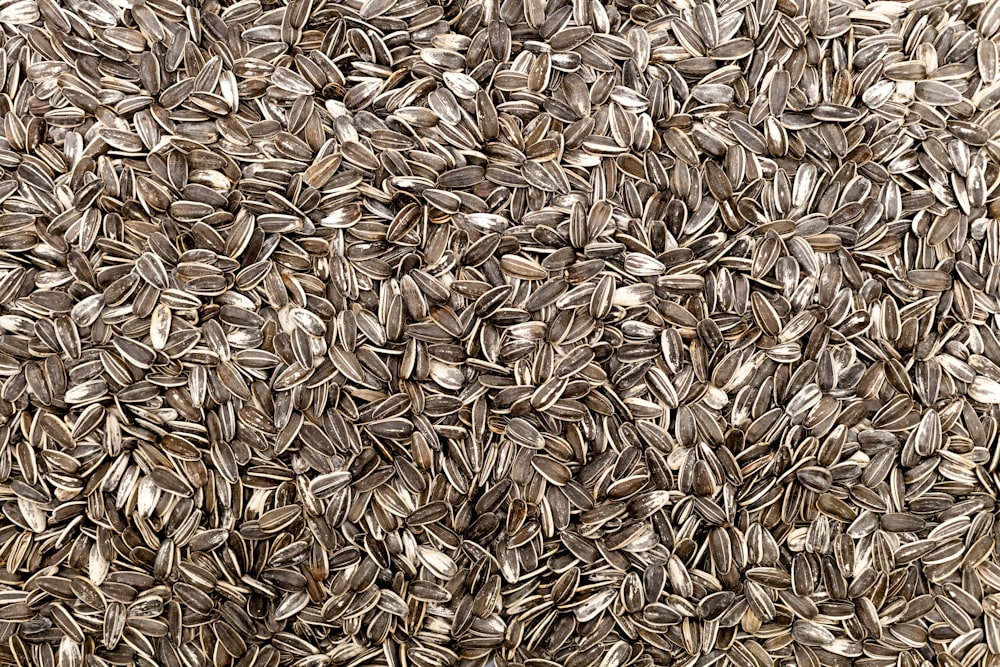 brown dried leaves on ground