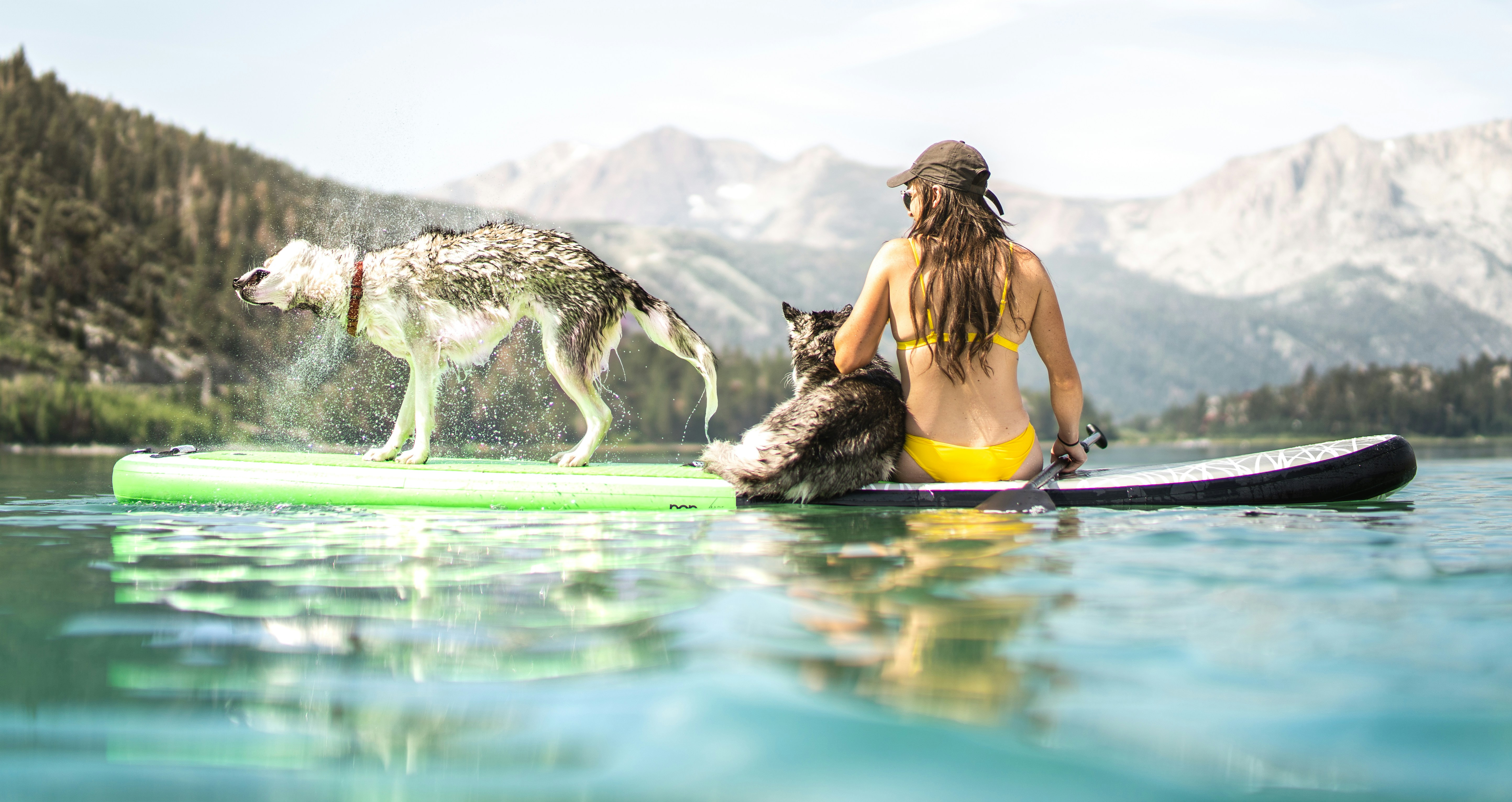 woman in yellow tank top sitting on water with white and black dog during daytime