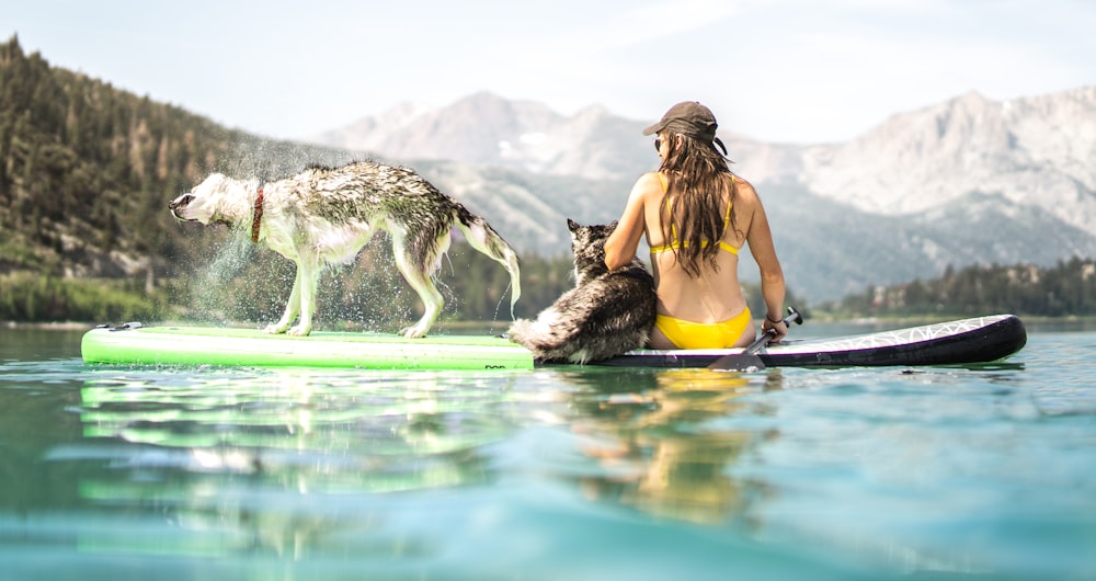 昼間、白と黒の犬と一緒に水の上に座っている黄色のタンクトップの女性