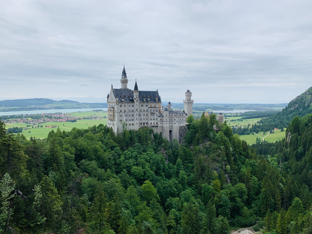 weißes und graues Schloss auf grünem Wald tagsüber