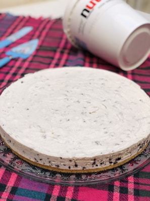 A round dessert with a light, creamy texture and speckled with small dark bits, likely a type of cheesecake or pie, sits on a glass plate. The background features a red and black checkered cloth and a tipped-over white container with ingredients.