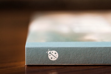 A canvas with a blue-green border sits on a wooden surface. On the side of the canvas, there is a white illustration of a ladybug.